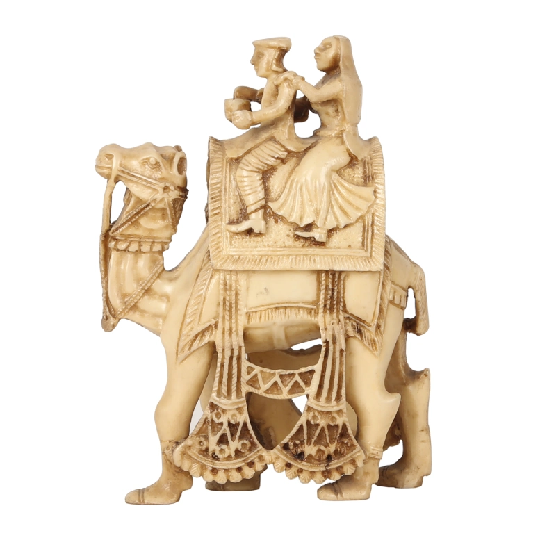 Desert Maharaja Camel - Image 5