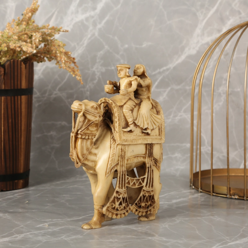 Desert Maharaja Camel